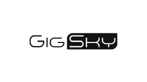 The Ripsim-GigSky logo features the brand name in black text with a stylized "G" and "S" on a white background.